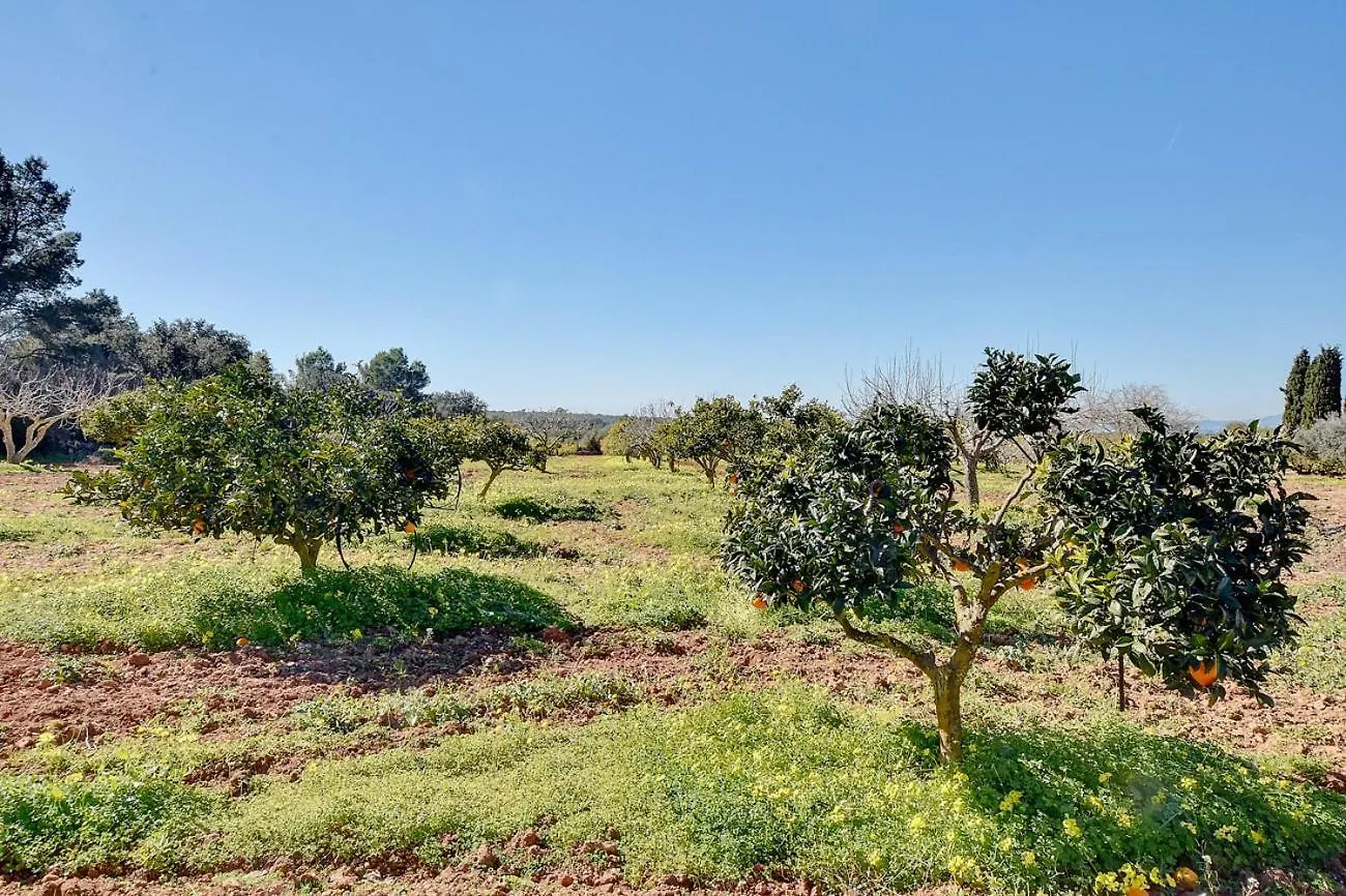 אלגידה Villa Monsebo By Slow Villas ספרד